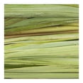 thumbnail image 3 of Té de limón por pieza, 3 of 3