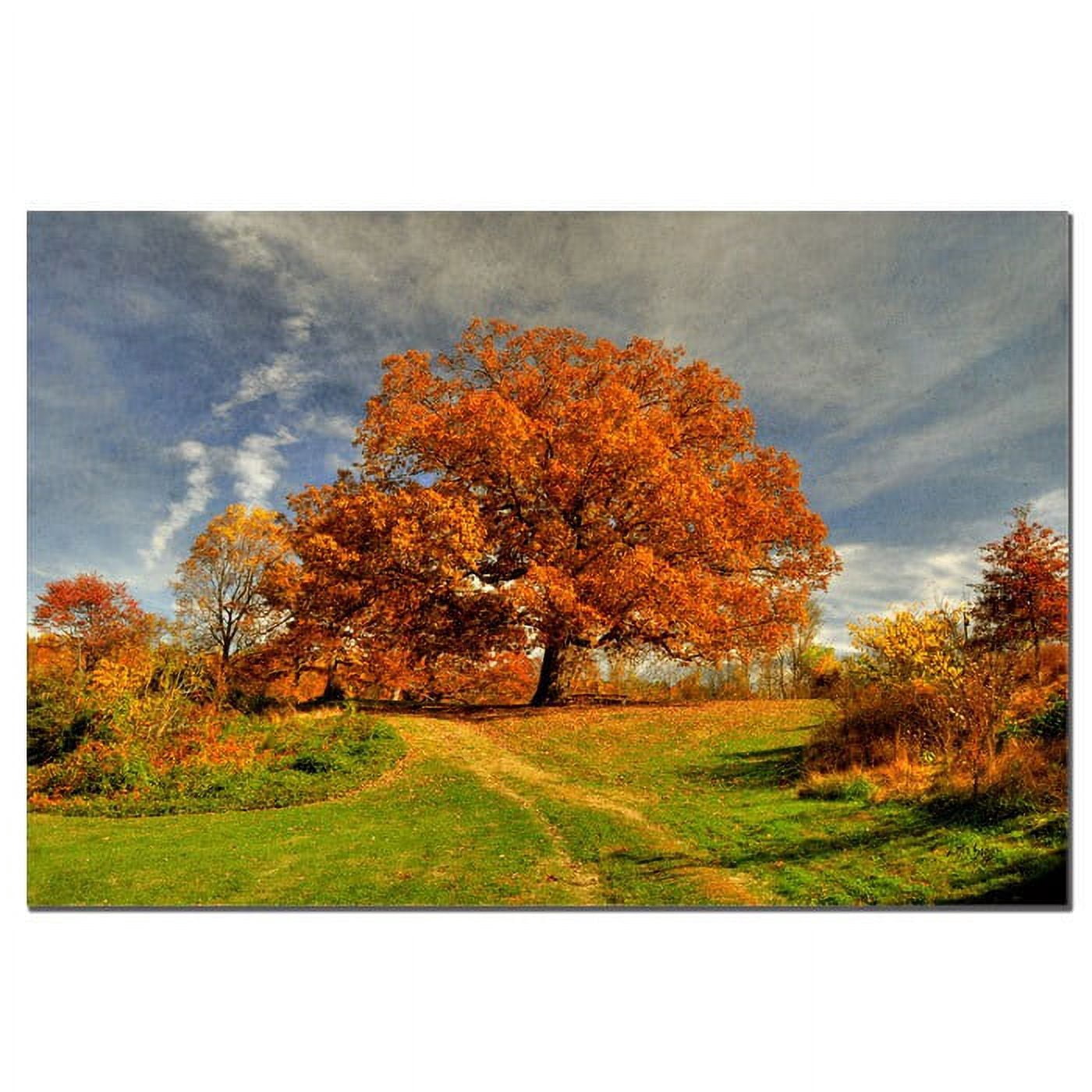 Trademark Fine Art "Fall Scene" Canvas Art by Lois Bryan