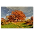 thumbnail image 2 of Trademark Fine Art "Fall Scene" Canvas Art by Lois Bryan, 2 of 2