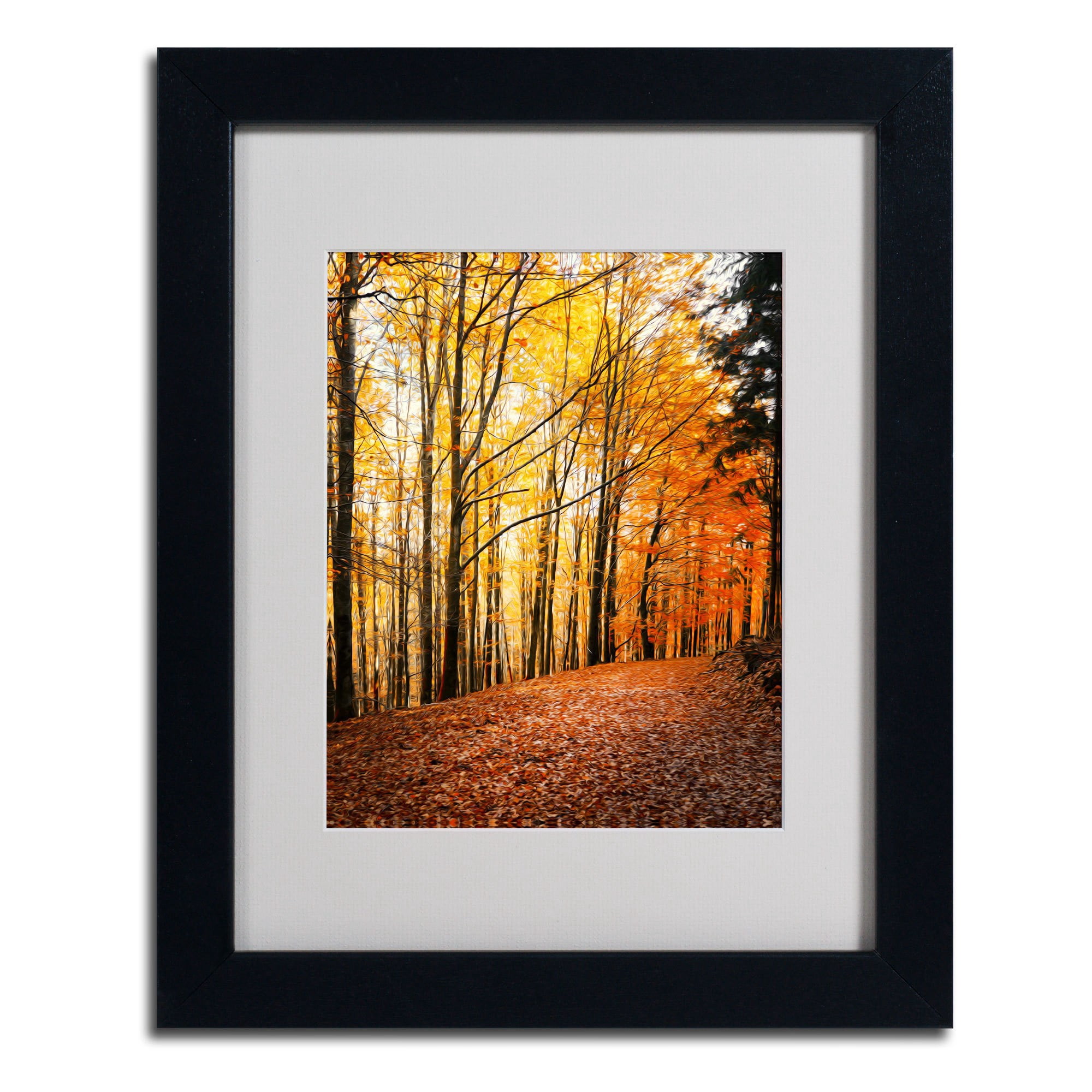 Trademark Fine Art "Yellow Moment" Canvas Art by Philippe Sainte-Laudy, Black Frame