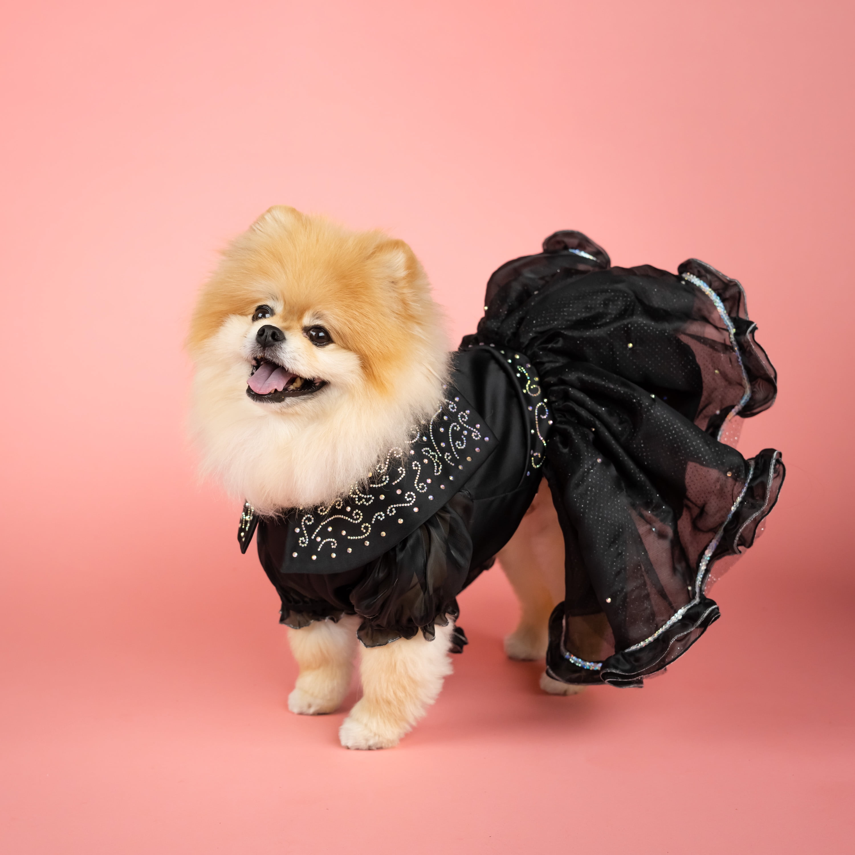 Doggy Parton, Dog and Cat Clothes, Shimmering Evening Pet Dress, Black, XS