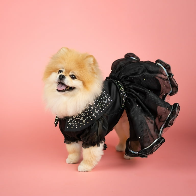 black dog dress Amazon.com : Dog in the Closet, Black Tutu Dress : Pet Supplies