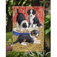 thumbnail image 3 of Carolines Treasures ASA2079GF Border Collie Pups Flag Garden Size, 3 of 3