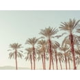 thumbnail image 2 of Frank, Assaf 24x19 White Modern Wood Framed Museum Art Print Titled - Palm Trees, 2 of 4