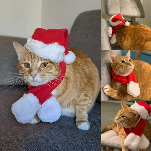 Kitty santa hat sales