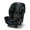 Clybourne, variant on Graco TriRide 3-in-1 Car Seat, Clybourne, Black