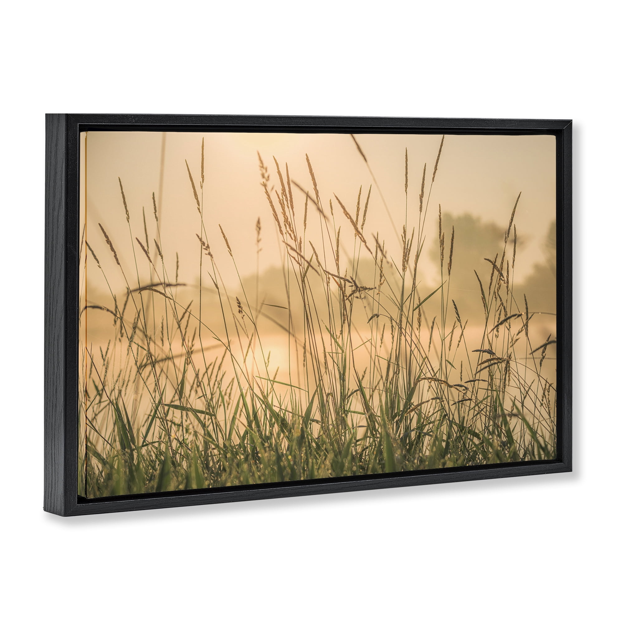 Stupell Industries Grassy Country Reeds Landscape & Nature Photography Black Floater Framed Canvas Art Print Wall Art, 25 x 17