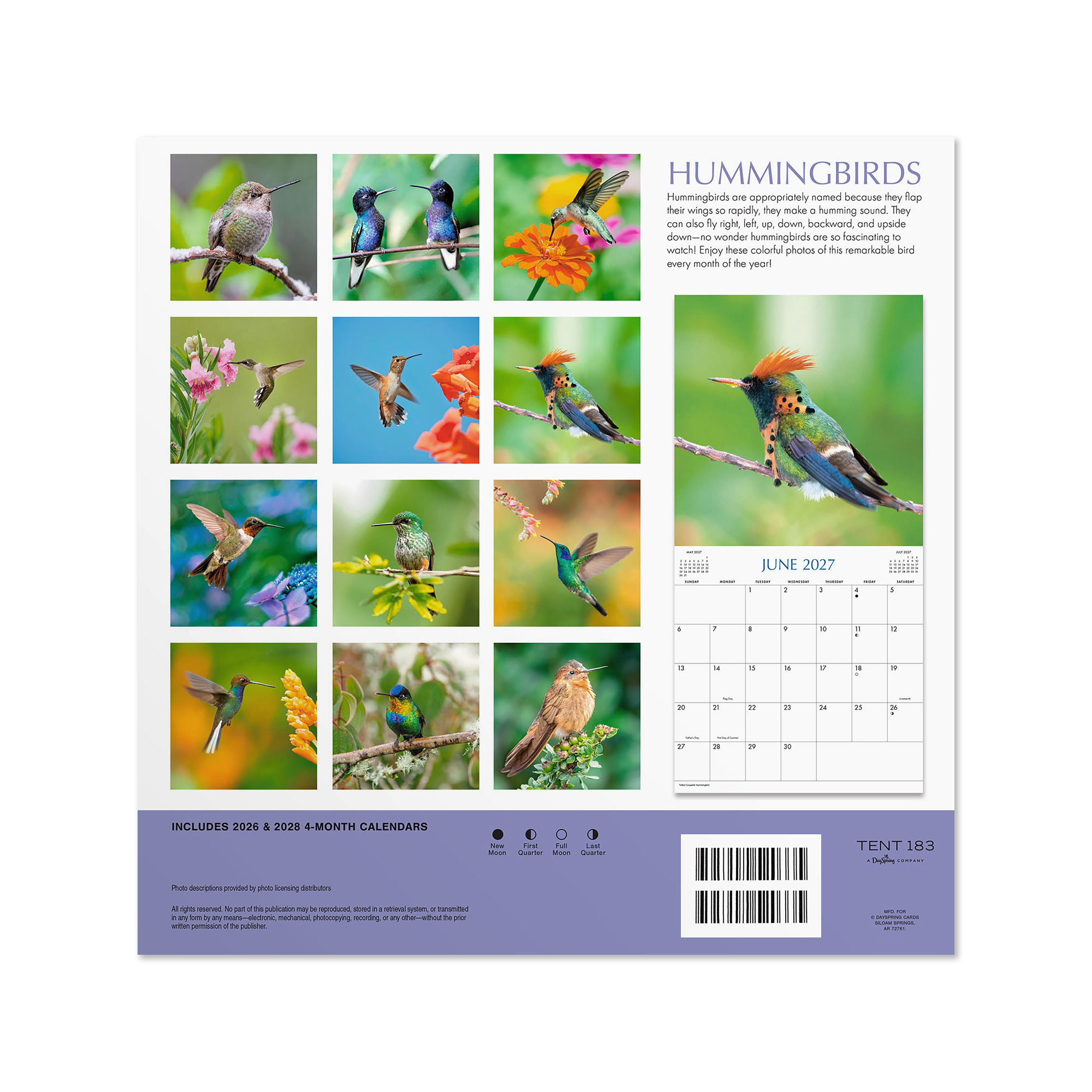 2027 Hummingbirds Hanging Wall Calendar 12x12 January-December Gridded