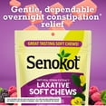 thumbnail image 4 of Senokot Laxative Soft Chews, Overnight Constipation Relief with Senna Extract, 42 Mixed Berry Chews (Pack of 2), 4 of 6