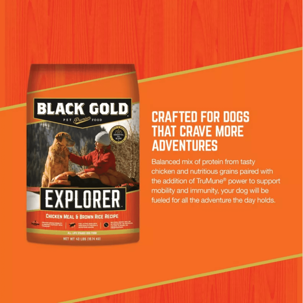 Black gold dog food walmart 2025
