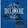 thumbnail image 2 of Delaware Lighthouse Cool DE Map Shape Plus Size Crewneck Graphic Tee Shirt Brisco Brands 2X, 2 of 5