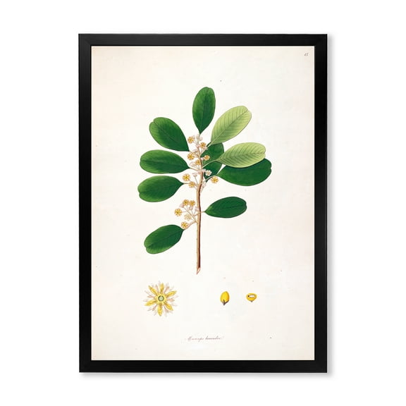 Designart 'Ancient London Plants IX' Farmhouse Framed Art Print