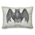 thumbnail image 2 of Creative Products Scientific Vamp 20 x 14 Spun Poly Pillow, 2 of 3