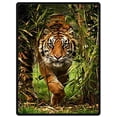 thumbnail image 1 of RYLABLUE Fierce Tiger In Jungle Blanket Couverture Soft Travel Fleece Throw Blanket 58x80 pouces, 1 of 1