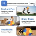 thumbnail image 6 of Herding Ball for Dogs with Grab Tabs, Inflatable Interactive Heavy Duty Soccer Ball for Large Medium Dogs, Durable Pet Toy for Exercise & Training, 6 of 20