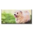 thumbnail image 1 of Cuadro Canvas listo para Colgar Pixtreats Dandie Terrier 70X140 cm, 1 of 4