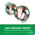 thumbnail image 5 of TropiClean Fresh Breath No Brushing Clean Teeth Dental & Oral Care Gel for Dogs, 2oz, 5 of 12
