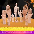 thumbnail image 2 of Títere de hombre flexible y móvil de 12 pulgadas, modelo de títere de hombre de imitación de arte humano para pintar, 2 of 4