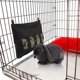 thumbnail image 4 of Rabbit Hay Feeder Bag, Guinea Pig Hay Feeder Storage, Rabbit Feeder Hay Feeder for Rabbit Guinea Pig-Black, 4 of 4