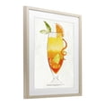 thumbnail image 2 of Stupell Industries Contemporary Summer Cocktail Orange Fruit Birch Framed Print Under Glass, 17 x 21, by Lorenzo Collective, 2 of 8