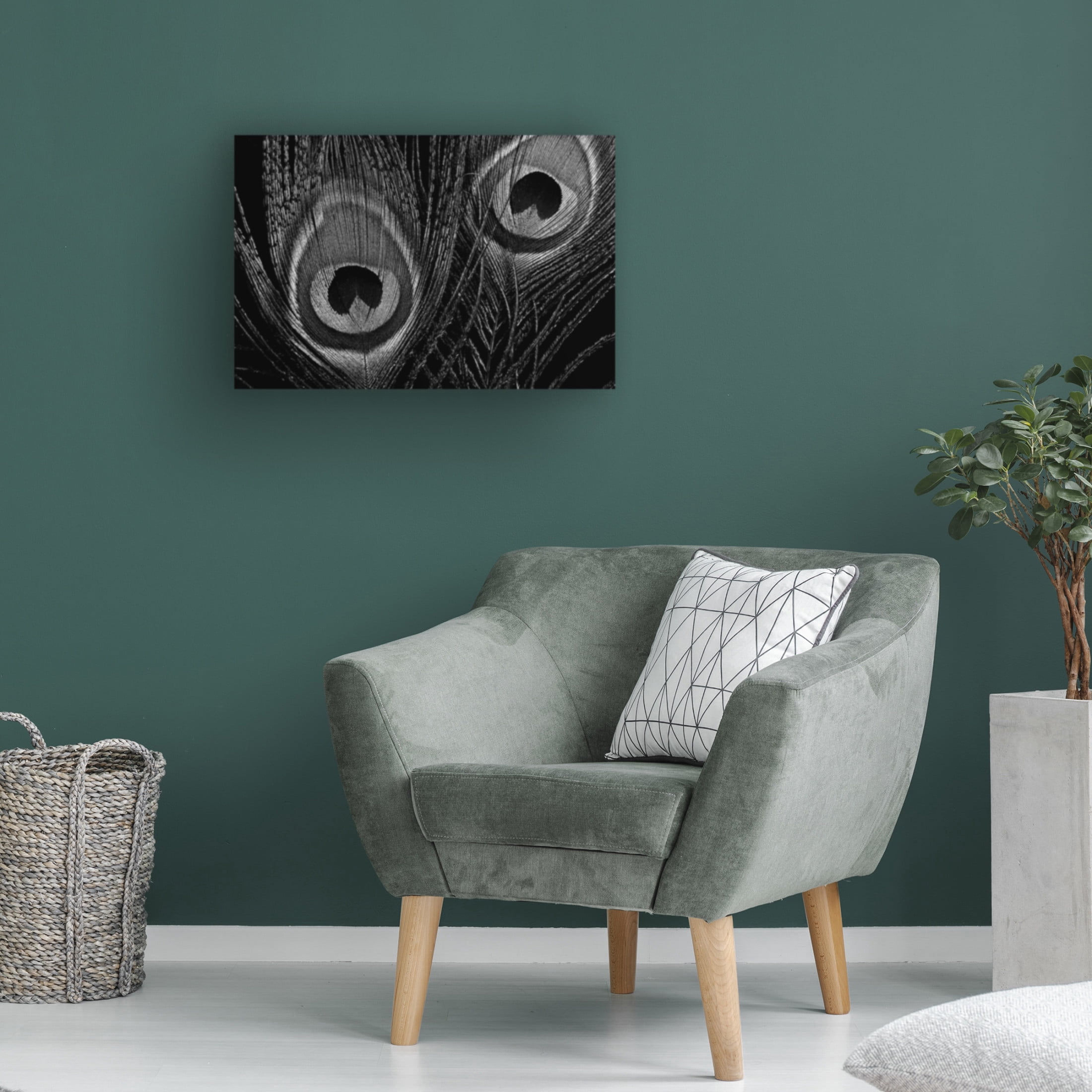 Canvas Wall Art - Tom Quartermaine 'Black and White Peacock Feathers Close up' Wall Art for Living Room, Bedroom, or Office Décor by Trademark Fine Art - 19 x 12 Inches