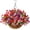 Purple Red Pink, variant on Artificial Hanging Flowers for Outdoor Indoor Spring Decor,Faux Silk Flower Arrangement,6 Branches Daisy with 12 Inch Coconut Lining Chain for Garden Decoration(Purple White Rose)
