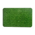 thumbnail image 2 of Realistic Artificial Grass Door Mat - Durable Turf for Outdoor/Indoor Use, Perfect for Entrance, Patio, Camper - Pet-Friendly Fake Grass Rug, Home Decor, 15.7” x 23.6”, 2 of 8