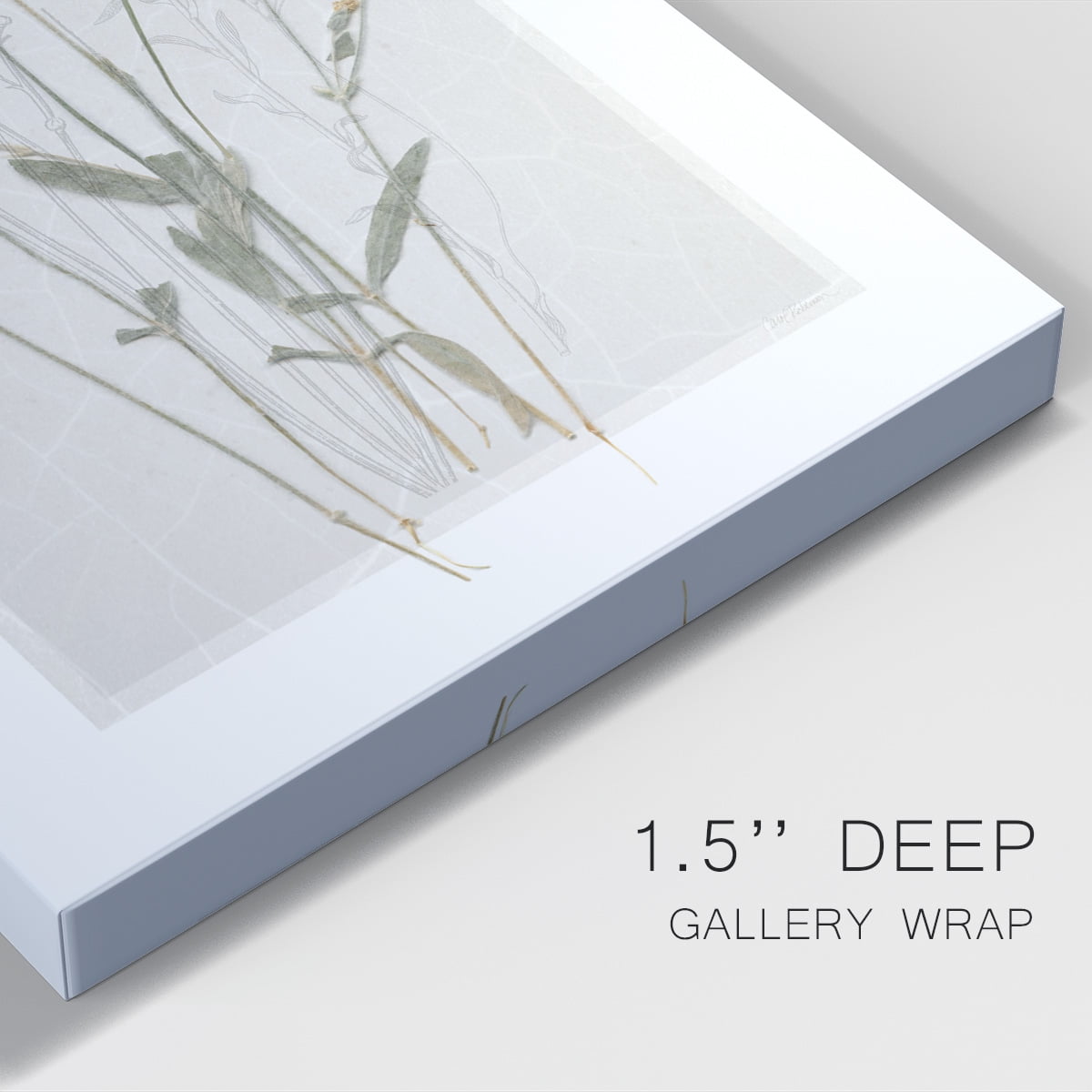 Field Study Page II Premium Gallery Wrapped Canvas - Ready to Hang