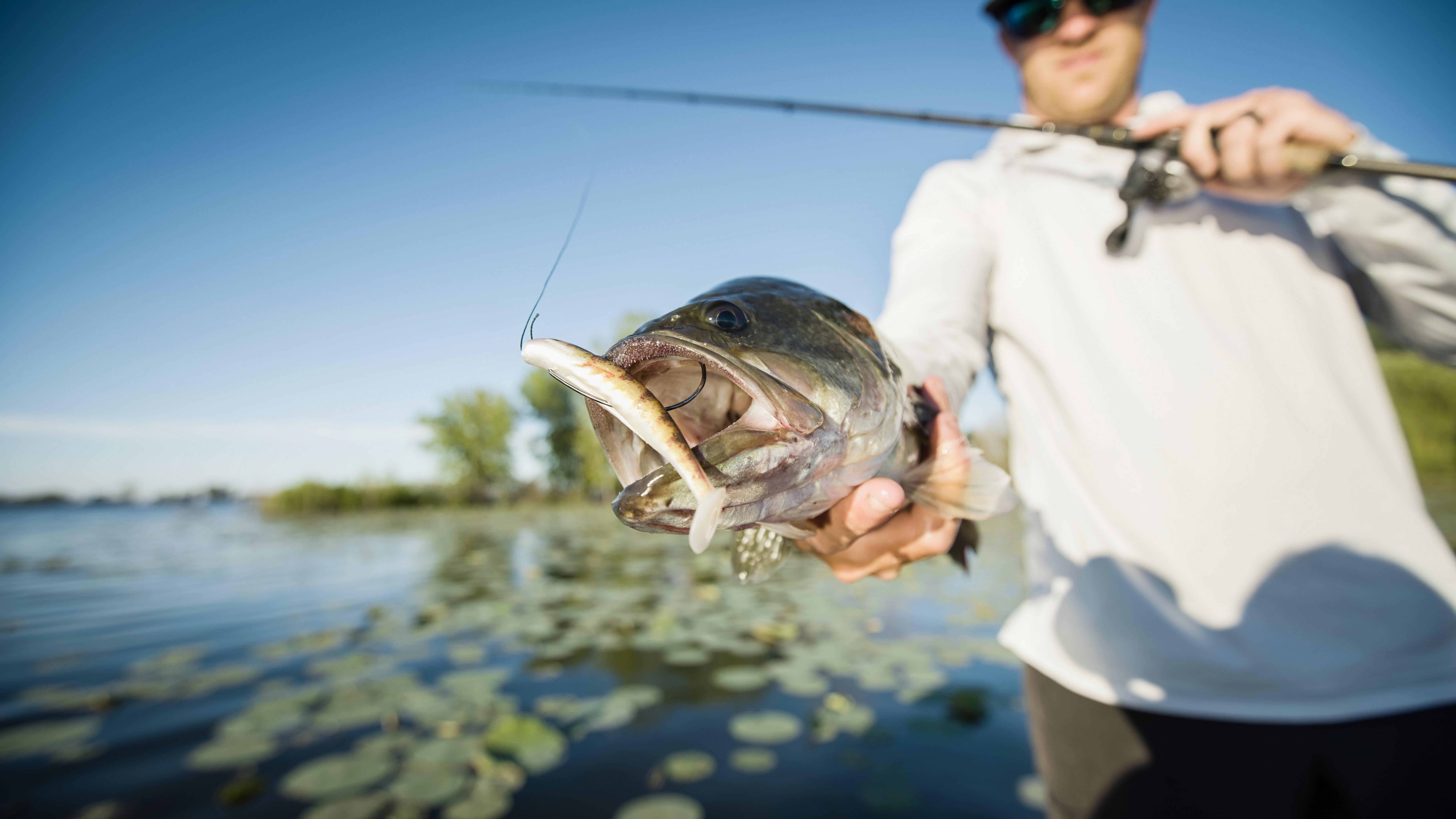 PowerBait® Grass Pig