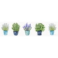 thumbnail image 3 of Tava Studios 18x8 Black Modern Framed Museum Art Print Titled - Herbs In A Row, 3 of 5