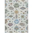 thumbnail image 2 of Addison Rugs Chantille Indoor/Outdoor Traditional Ivory Machine Washable Rectangle Rug, 10' x 14', 2 of 8
