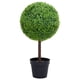 thumbnail image 1 of Planta de boj artificial VidaXL en forma de bola con maceta de 20 cm, 1 of 6