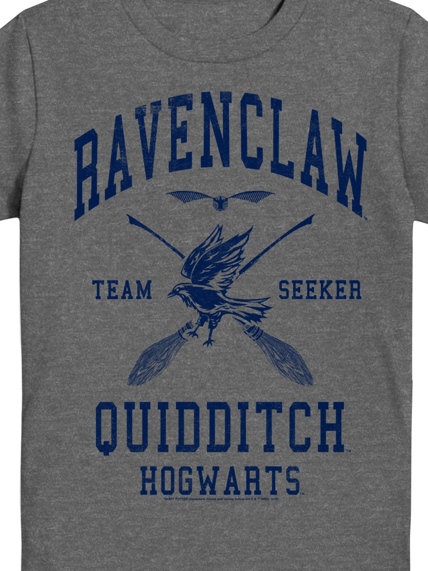 Harry Potter, Boys' & Big Boys' Graphic Tee, Ravenclaw Quidditch Seeker, Sizes 4-18