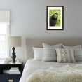 thumbnail image 5 of Monkey Selfie Framed Print Wall Art by David Slater Sold by Art.Com, 5 of 5