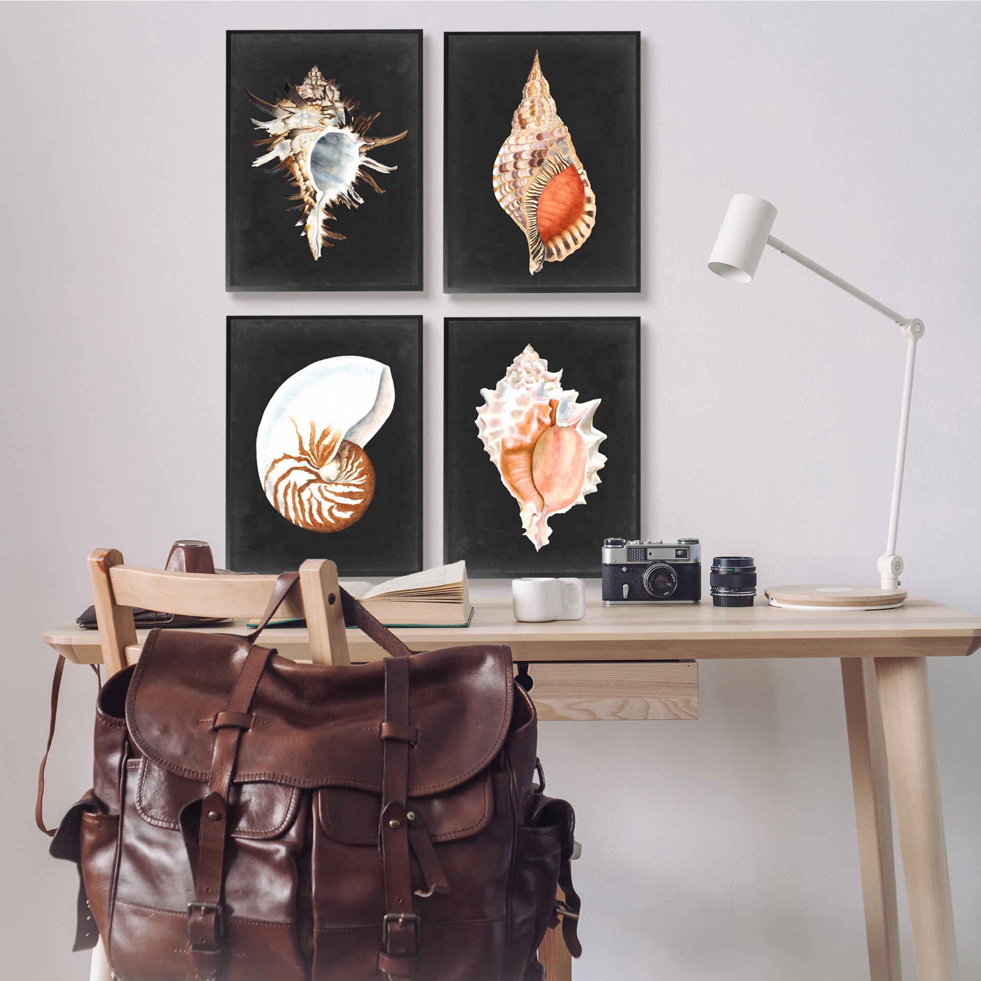 Stupell Industries Sea Shell Clam Conch Collection Realistic Illustration ,16 x 20, Design by Michael Willett