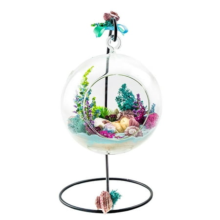 Glass Terrarium Card Box Terrarium Kit | Mermaid Sleep on Shell | Mermaid Series | Complete Terrarium Gift Set with Stand | 6