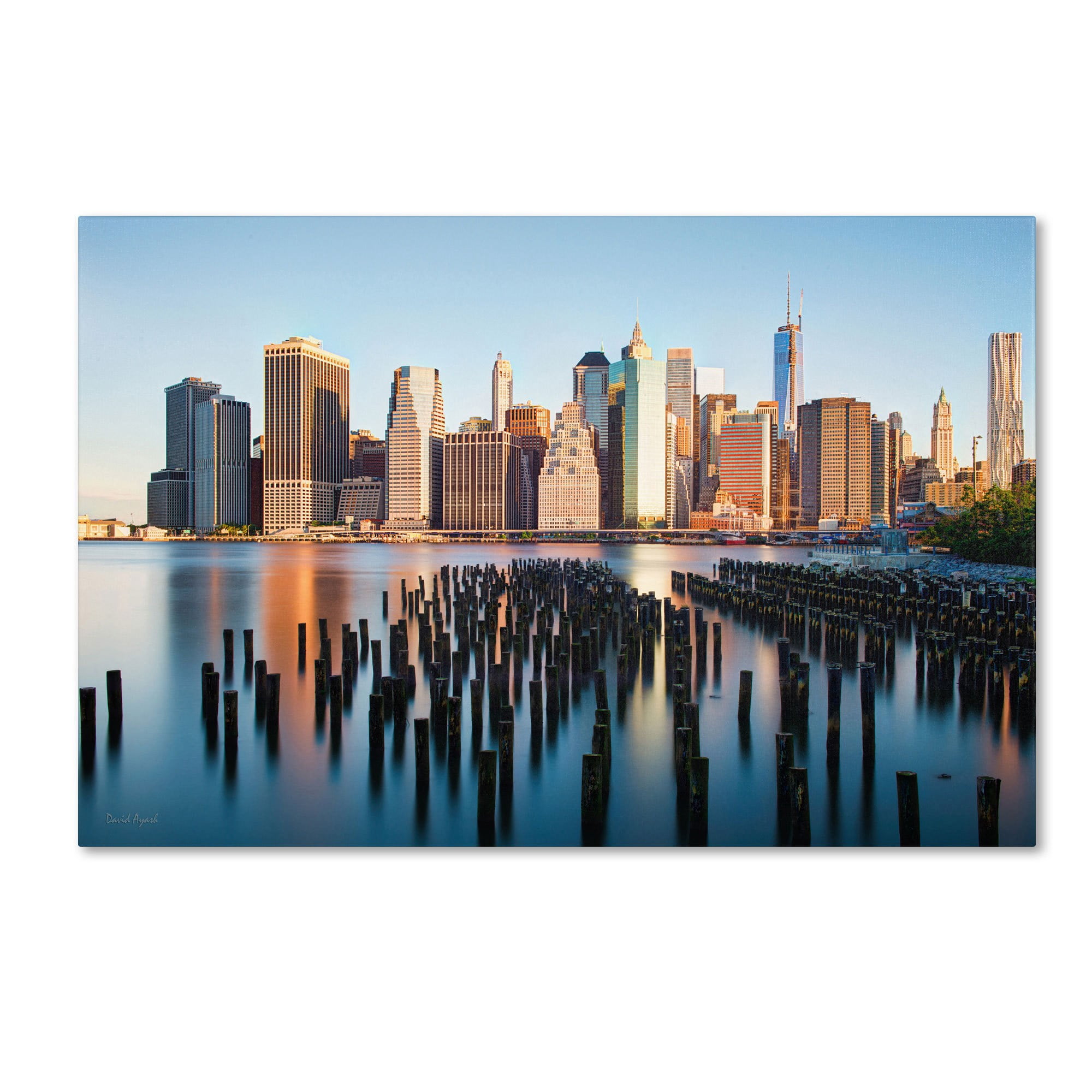 Trademark Fine Art "Brooklyn Bridge Park and Financial District - I" Canvas Art by David Ayash