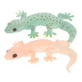 thumbnail image 3 of Here's a refined and professional product description based on your input:\n\n \n\n**2pcs Realistic Simulation Lizard Figures – Lightweight Fake Reptile, 3 of 5