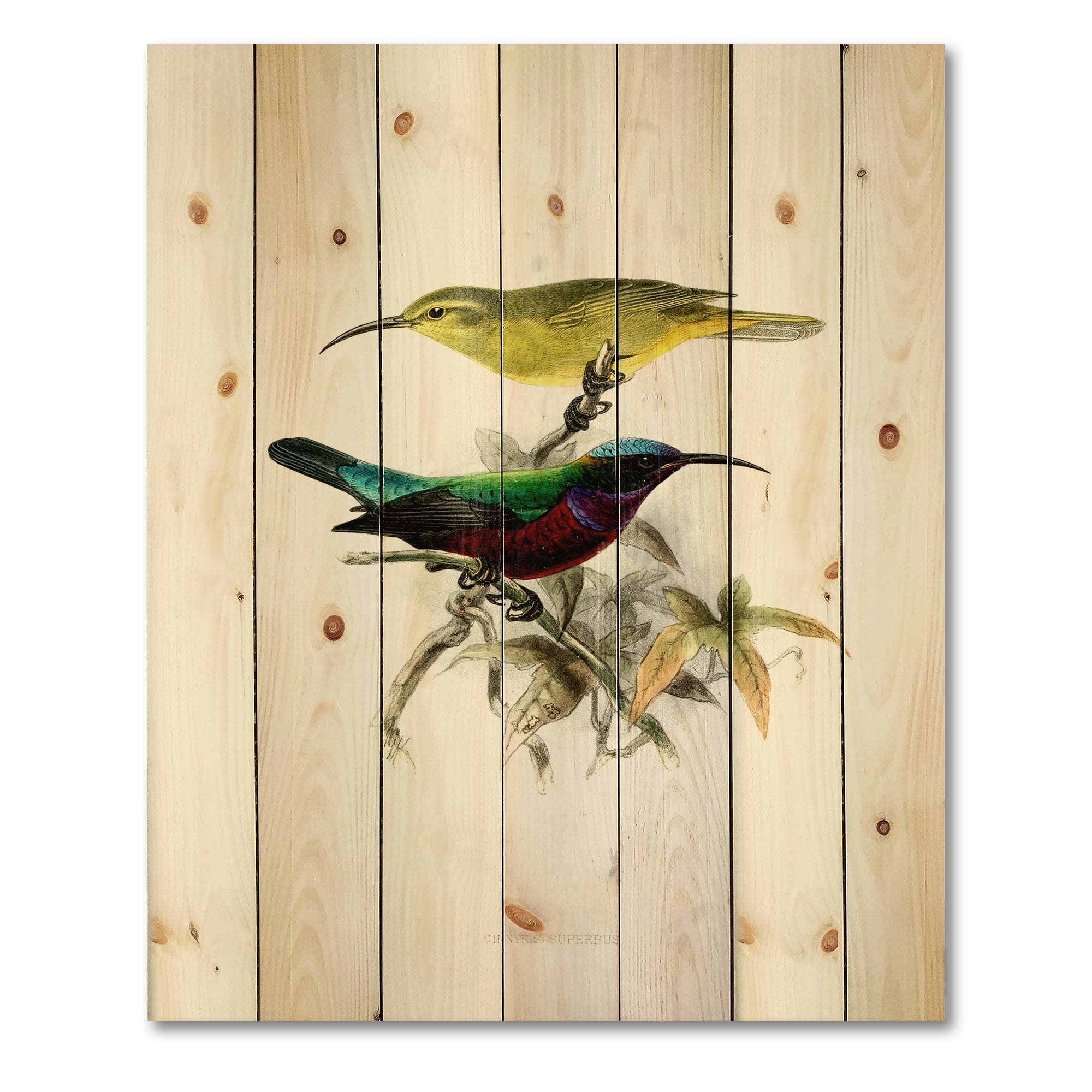 Designart 'Ancient Australian Birds XV' Traditional Print on Natural Pine Wood