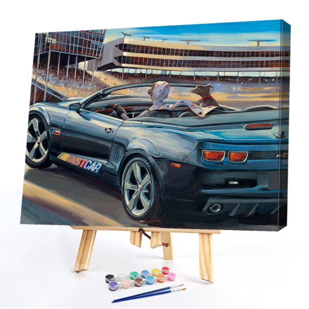 Cuadros Decorativos Chica conduciendo pintura al óleo pintada a mano por números Kit de dibujo Home Art (L192) Ehuebsd embutido en tela