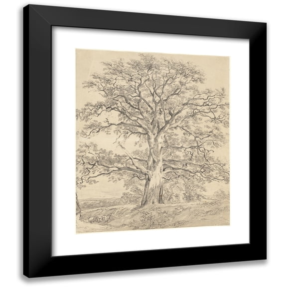 John Constable 12x14 Black Modern Framed Museum Art Print Titled - A Great Oak Tree (C. 1801)