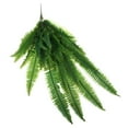 thumbnail image 4 of kurtrusly Artificial Fern Plant Wall Art Hanging Persian Rattan Plastic Fern Leaf, 4 of 9