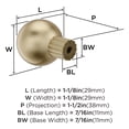 thumbnail image 5 of Amerock Cowrie 1-1/8 inch (29mm) Diameter Golden Champagne Cabinet Knob, 5 of 6