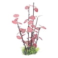 thumbnail image 4 of Planta de simulación de pecera D43251, plantas de adorno de hojas rojas artificiales realistas para acuario de pecera, 4 of 5