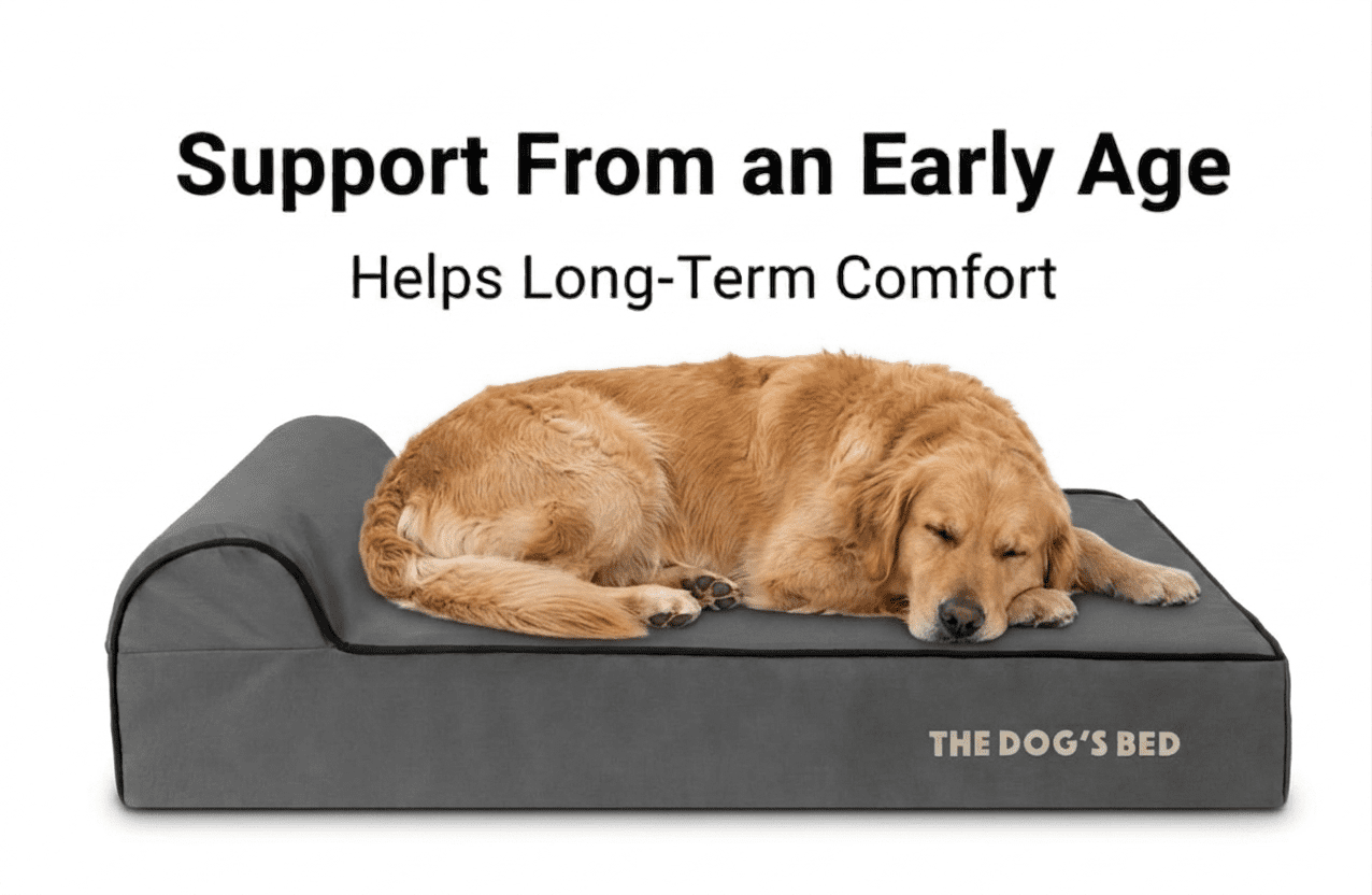 The Dog’s Bed Orthopedic Headrest Dog Bed Large Grey/Black 40x25, Memory Foam, Pain Relief: Arthritis, Hip & Elbow Dysplasia, Post Surgery, Lameness, Supportive, Calming, Waterproof Washable Cover