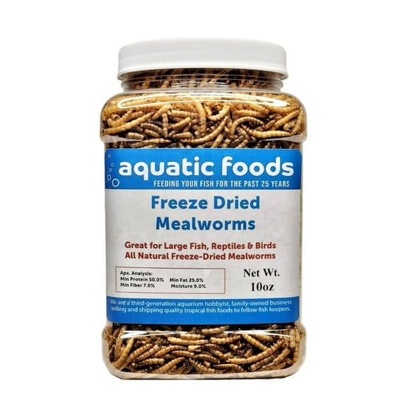 Dried Mealworms