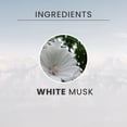 thumbnail image 3 of Perfume Tesori d'Oriente White Musk Eau De Toilette 100 ml, 3 of 7