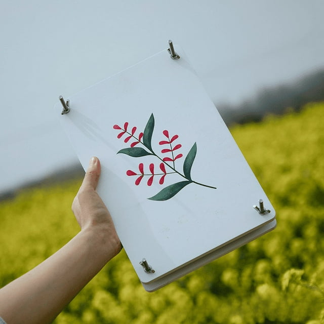 Flores prensadas secas naturales reales con caja y pinzas curvas, hojas de flores secas reales para hacer álbumes de recortes, manualidades, joyas de epoxi, velas, fabricación de jabón y decoración