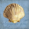 thumbnail image 2 of Reed, Tara 26x26 Black Ornate Wood Framed with Double Matting Museum Art Print Titled - Oceanum Shells Blue V, 2 of 4