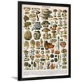 thumbnail image 1 of Decorative Print of Champignons by Demoulin, 1897, Framed Art Print Wall Art Sold by Art.Com, 1 of 1